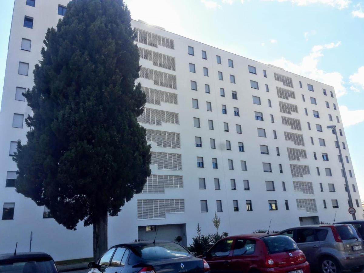 Studio Apartman Moonlight 扎达尔 外观 照片