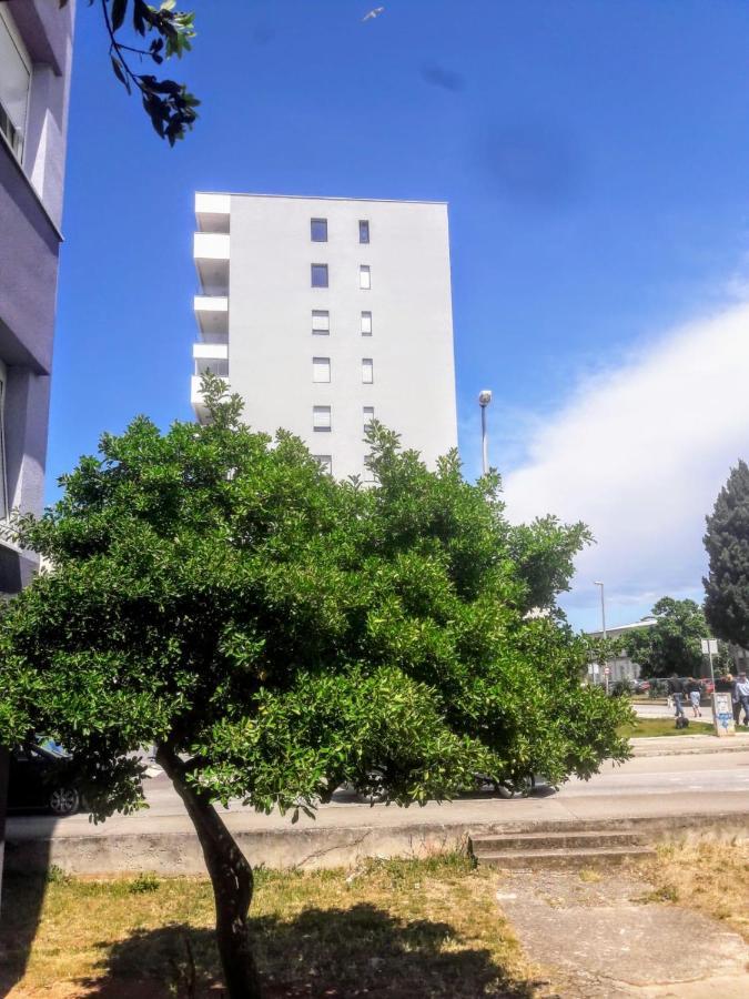 Studio Apartman Moonlight 扎达尔 外观 照片